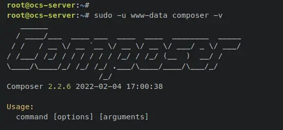 verificar composer