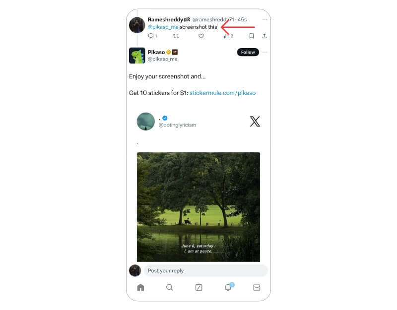 инструмент скриншота twitter bot pikasome