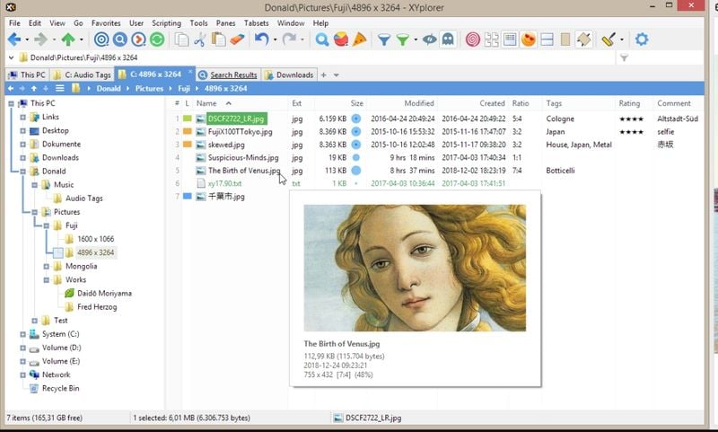 XYplorer - Dateimanager für Windows