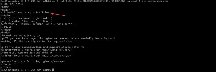 доступ к вашему приложению nginx