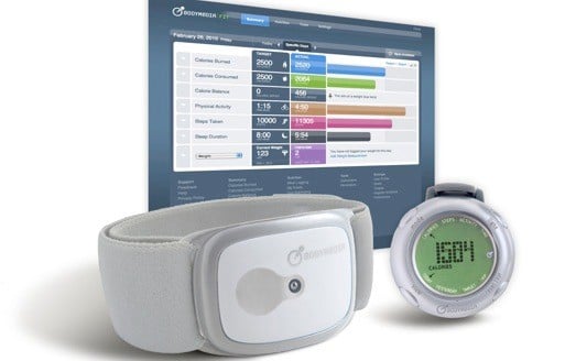 bodymedia fit armbands