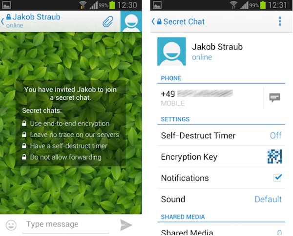 telegram-encrypted