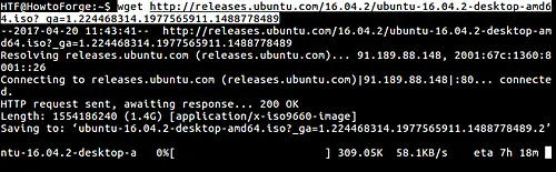Baixar um arquivo com wget
