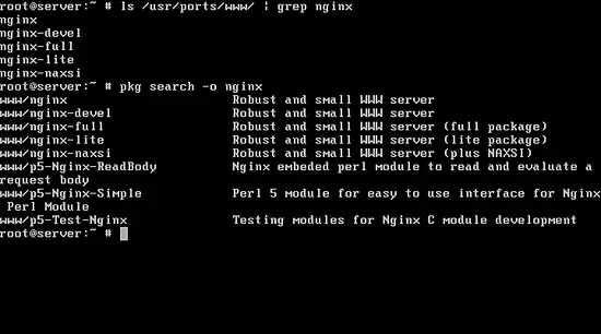 Lista de versiones de Nginx en FreeBSD