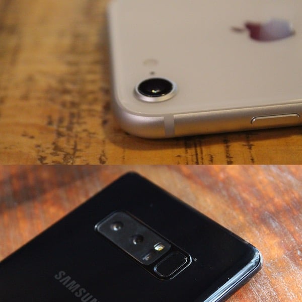photographier une toile d'araignée : l'iphone 8 face au galaxy note 8 - noteiphone