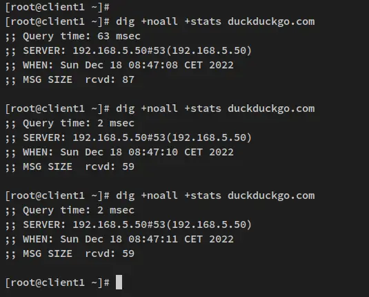 verificar caché dns