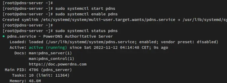 verificar serviço pdns