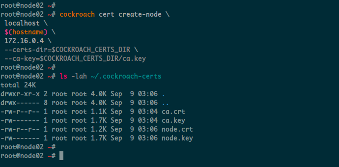 Genera certificato server per node02 e node03