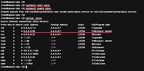 Instalar Nginx