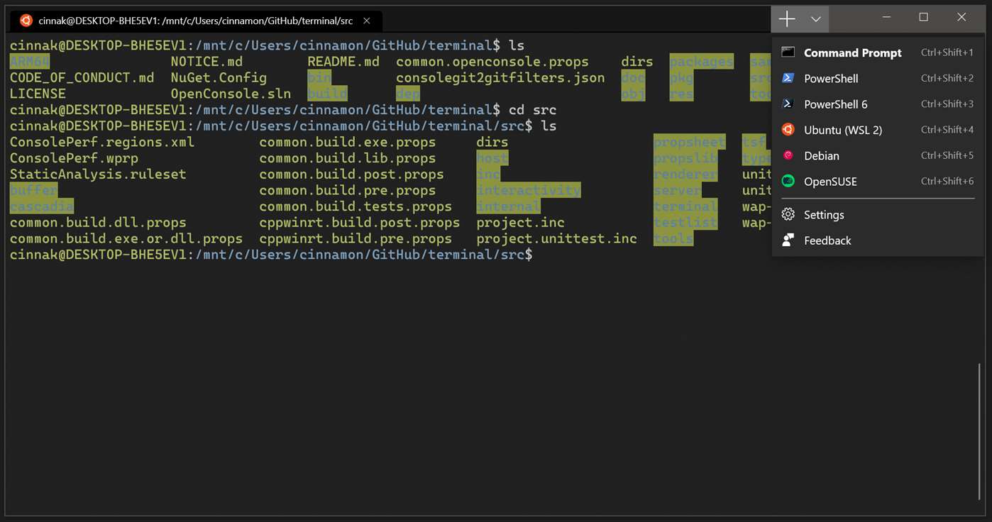 Microsofts neues Windows Terminal