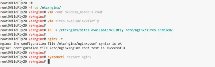 configura Nginx come reverse proxy per WildFly