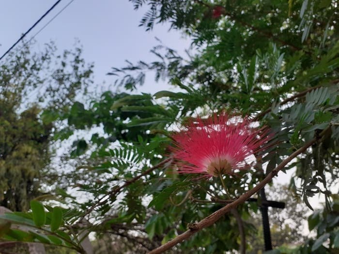 Samsung Galaxy M30 Test: Auf der Jagd nach dem Note? - 20190418 061905