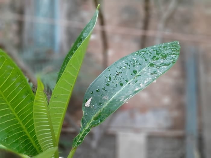 Samsung Galaxy M30 Test: Auf der Jagd nach dem Note? - 20190417 180407