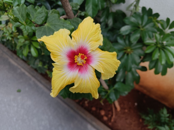 realme 9 pro+ review: worth a buy? - img20220215132238