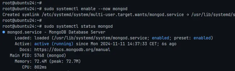 check mongodb