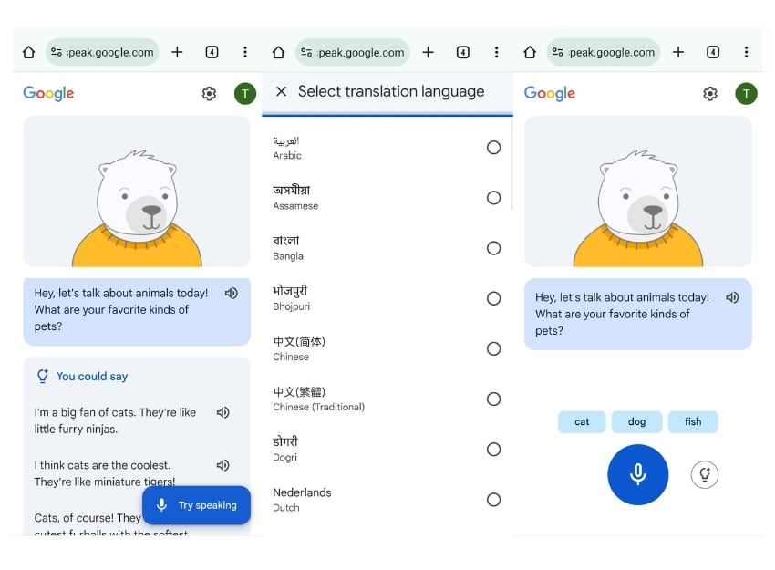 Sprache lernen über Google Suche