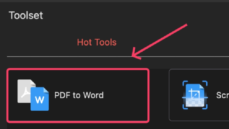 strumento pdf in word