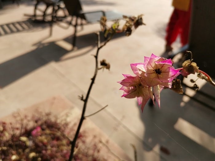 Honor View 20 Test: Will es OnePlus herausfordern? - img 20190119 122446