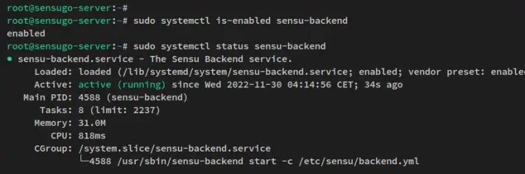 verify sensu-backend service