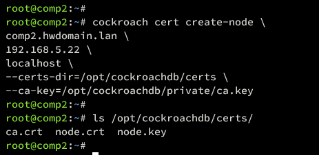 certificato node comp2