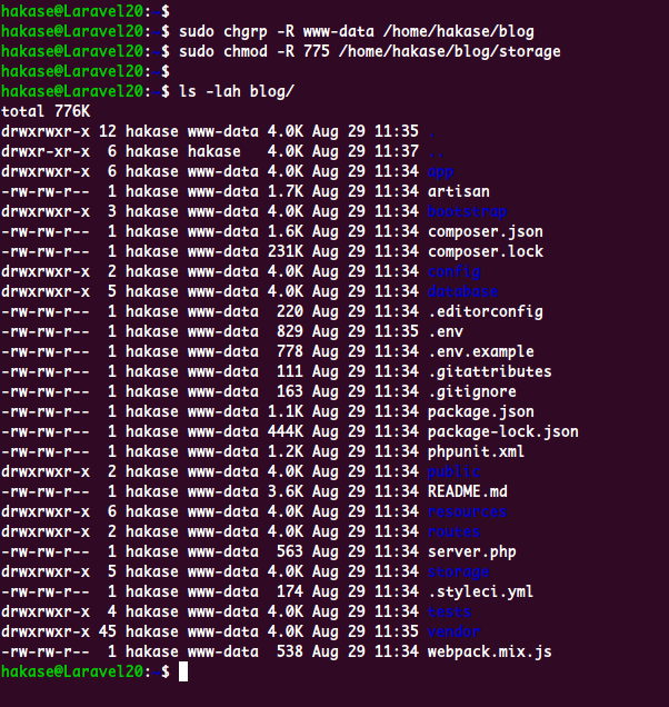 Setup Laravel Project