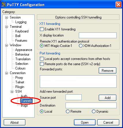 Paso 3 - Ve a Conexión > SSH > Túneles
