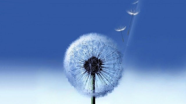 samsung-live-wallpapers-hd-wallpaper-1080x607