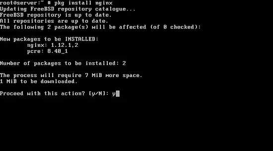 Instalar Nginx en FreeBSD