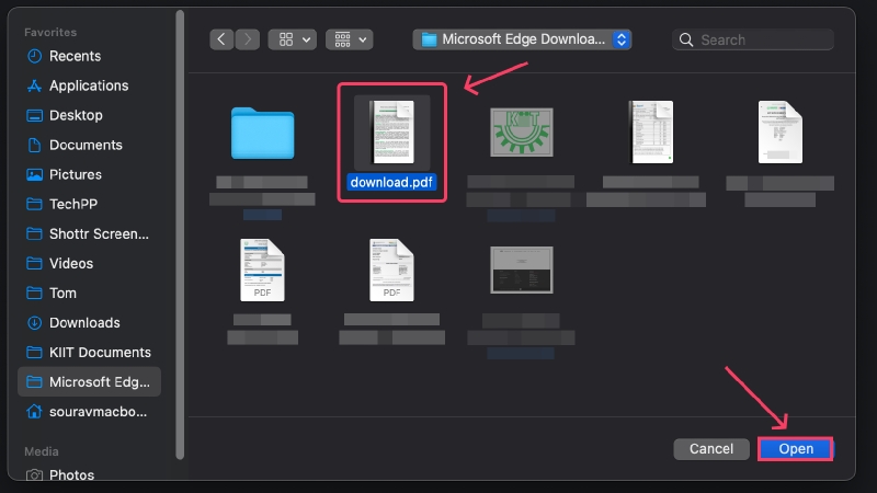 scegli pdf da aprire