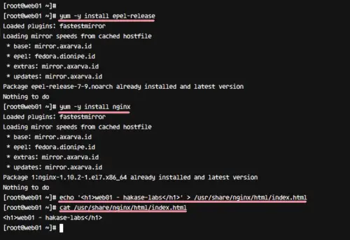 epelリポジトリとnginxをインストール