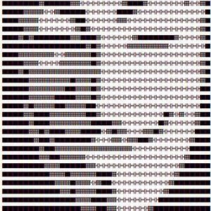匿名がFBIサーバーをハッキングしたと主張し、エージェントの情報を漏洩