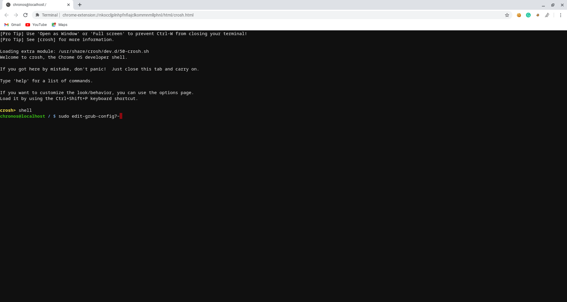 terminal chrome os