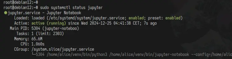 status jupyter