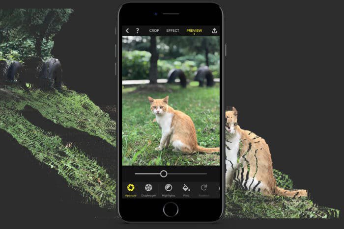 comment obtenir un effet bokeh en mode portrait sur les anciens iphones ? - couverture focos e1539327976965