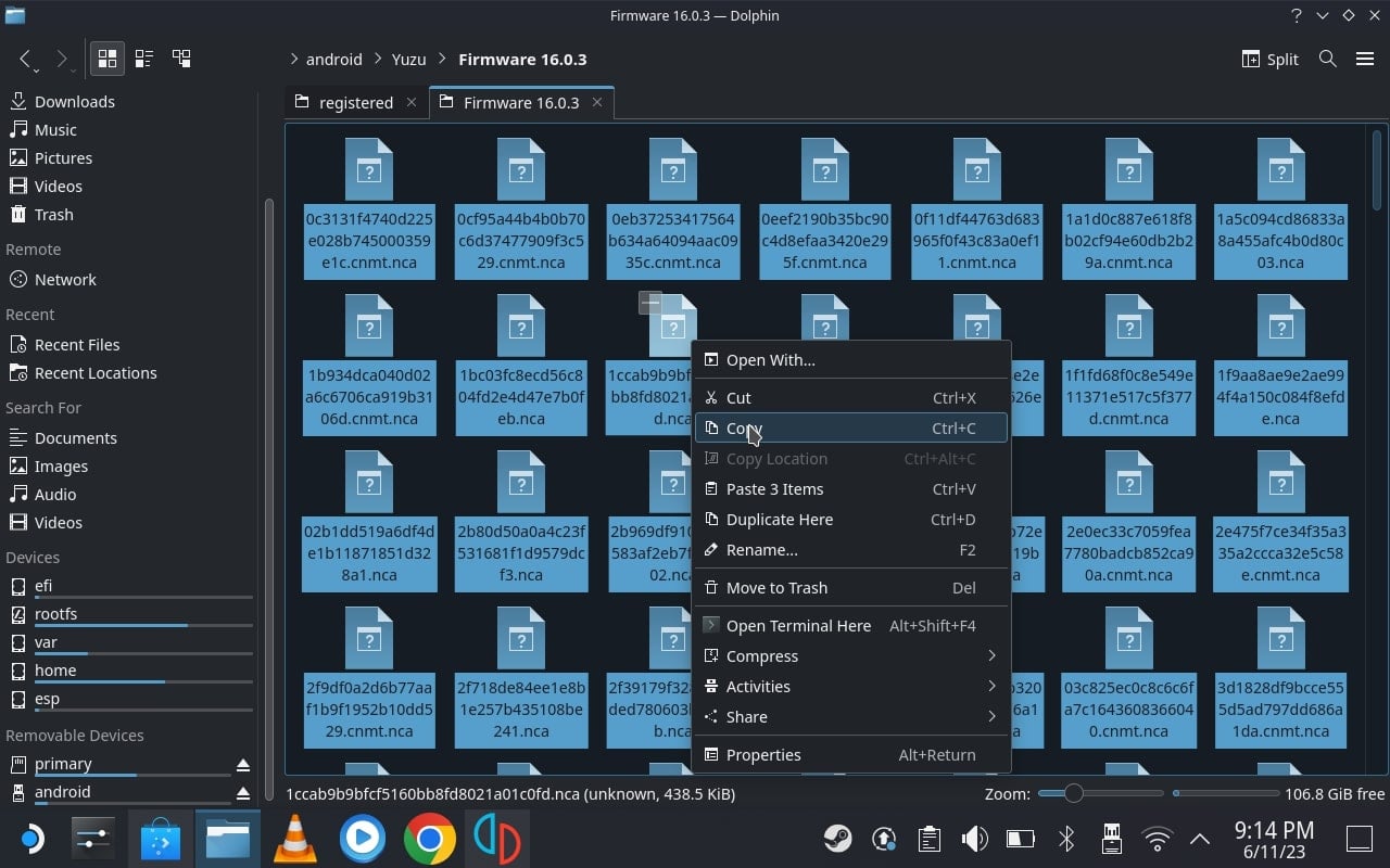 copia i file di firmware e crittografia