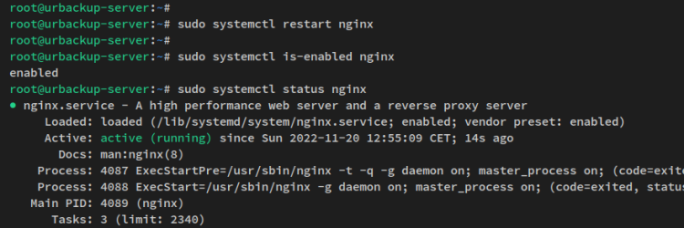 Nginx überprüfen