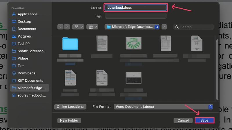 salva file utilizzando ms word