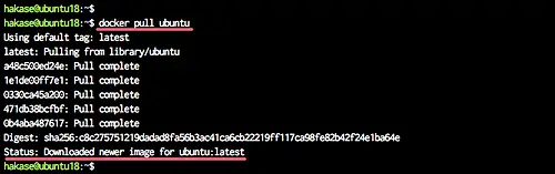 Docker 이미지 풀하기