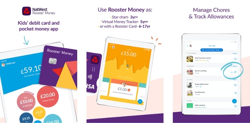 rooster money