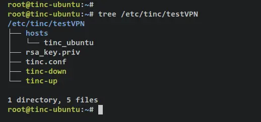 elenco file tinc-ubuntu