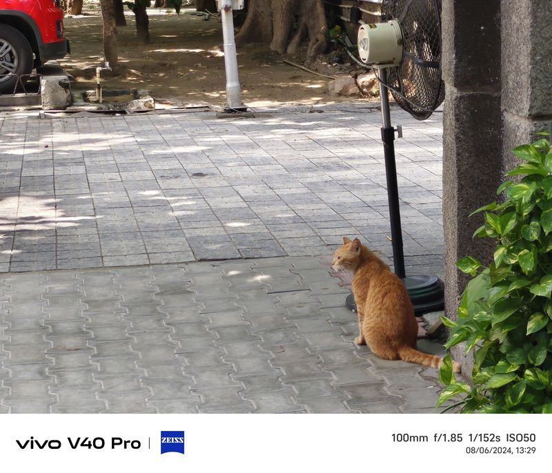 revisión del vivo v40 pro: la bestia de la cámara insignia económica! - img 20240806 132956