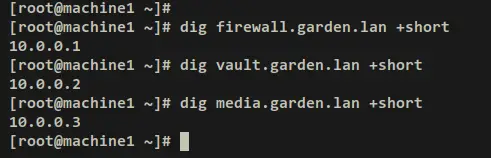 verify local domains