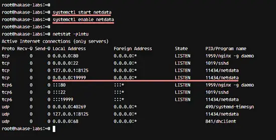Netdata가 시작되었습니다